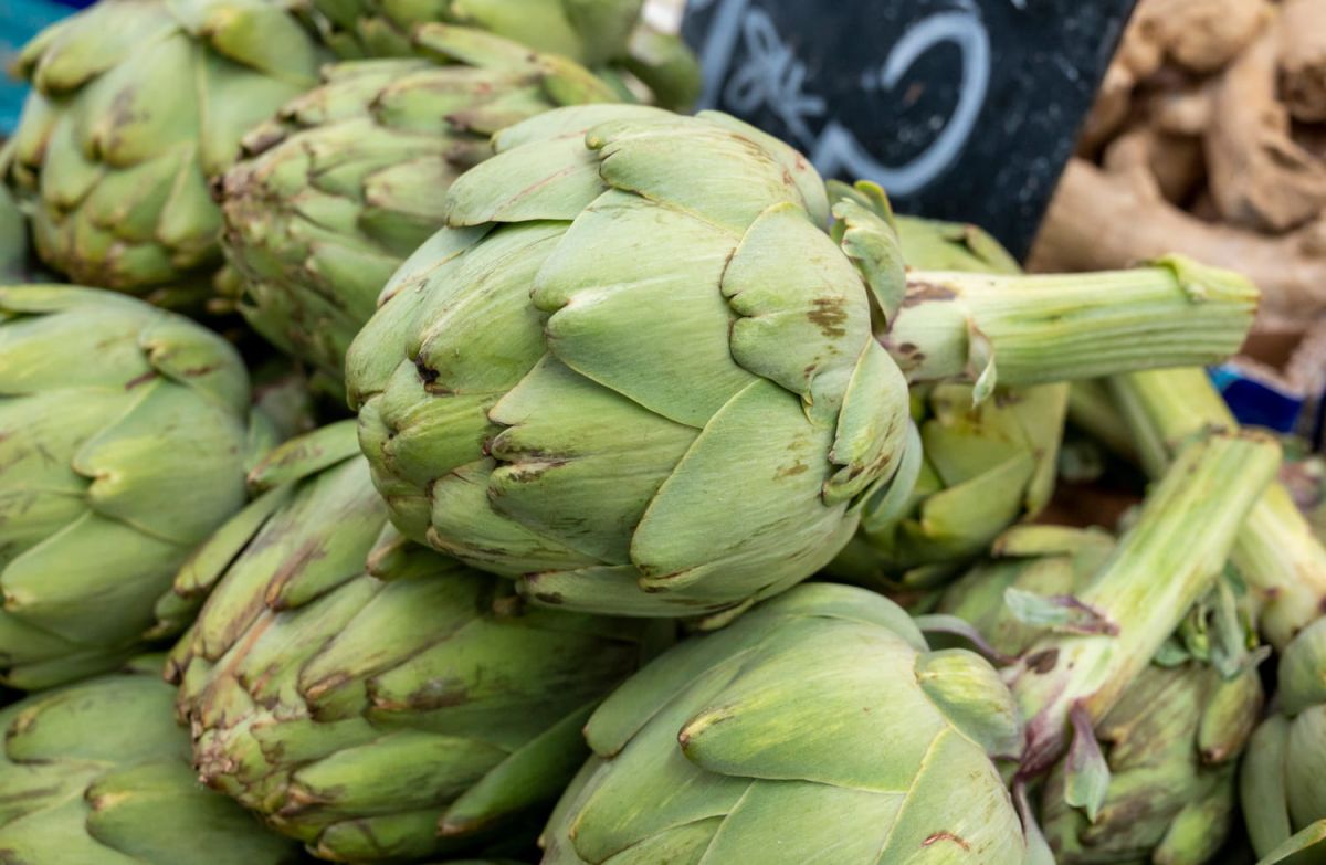 Choisir et conserver vos artichauts avec soin