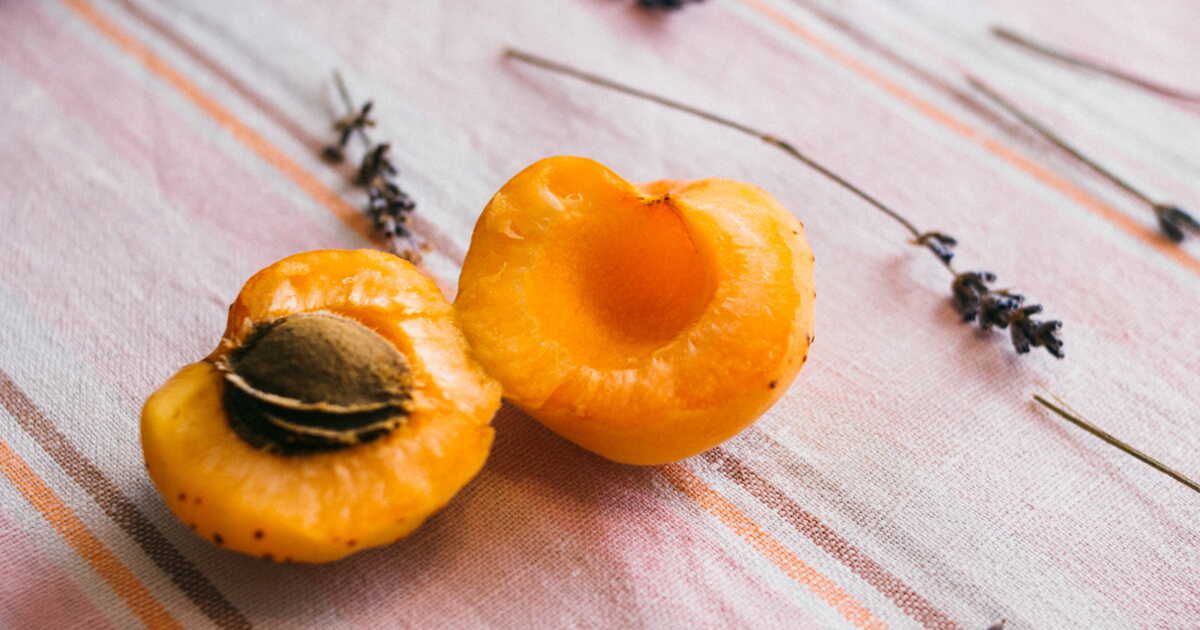 Labricot : le fruit estival qui enchante nos papilles