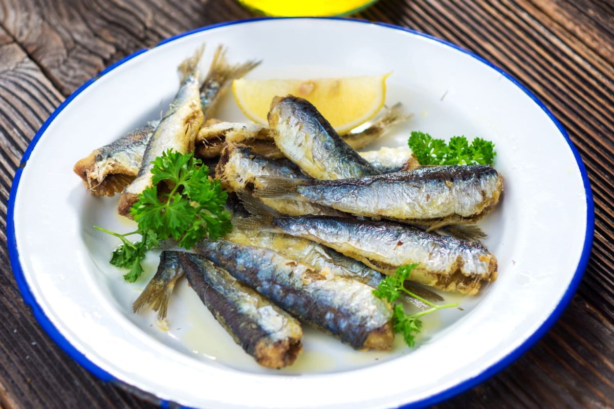 Redécouvrez les sardines : la recette rapide qui va vous séduire