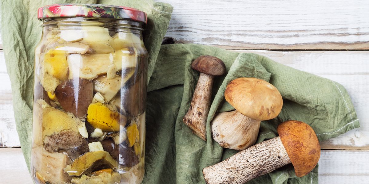 Savourer les champignons toute l'année : techniques de conservation incontournables