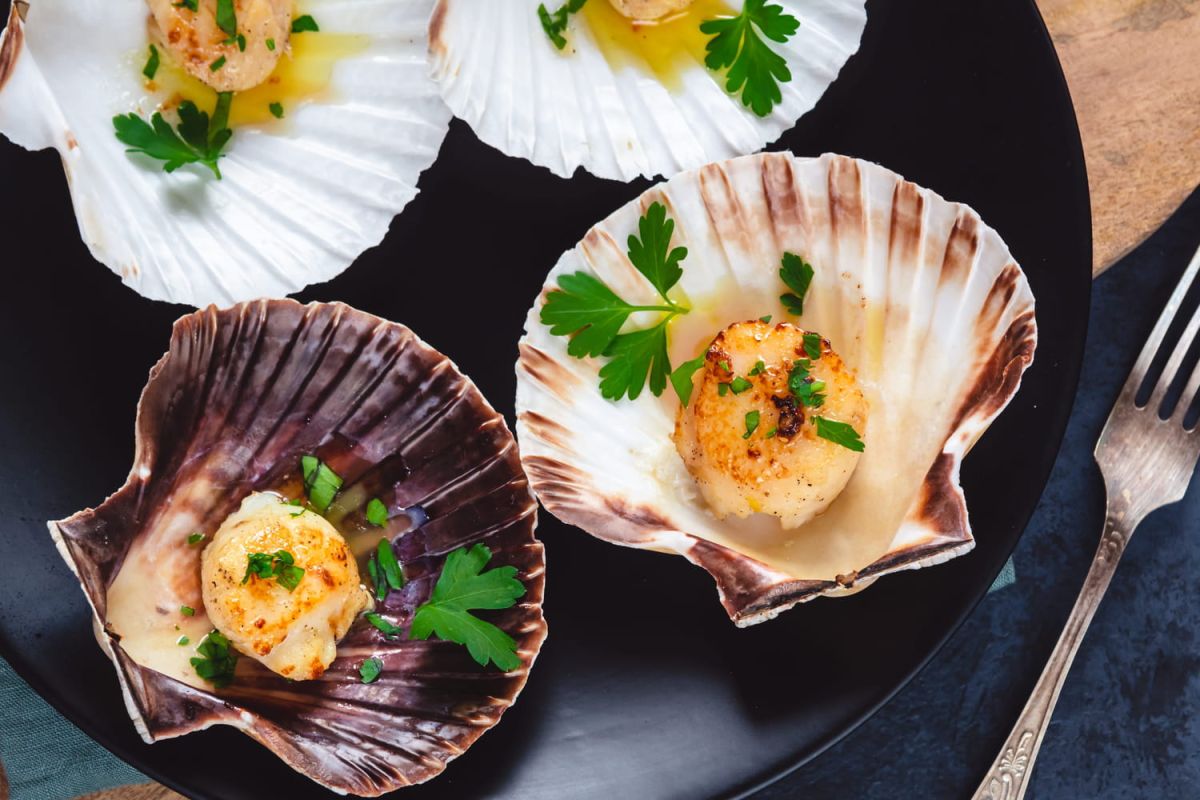 Que faire des coquilles de fruits de mer après dégustation ?