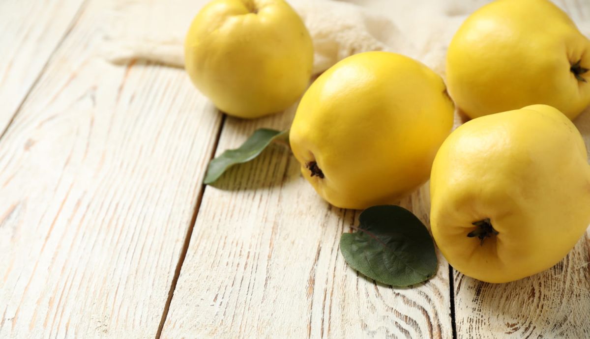 Découvrez la méthode infaillible pour reconnaître un coing mûr