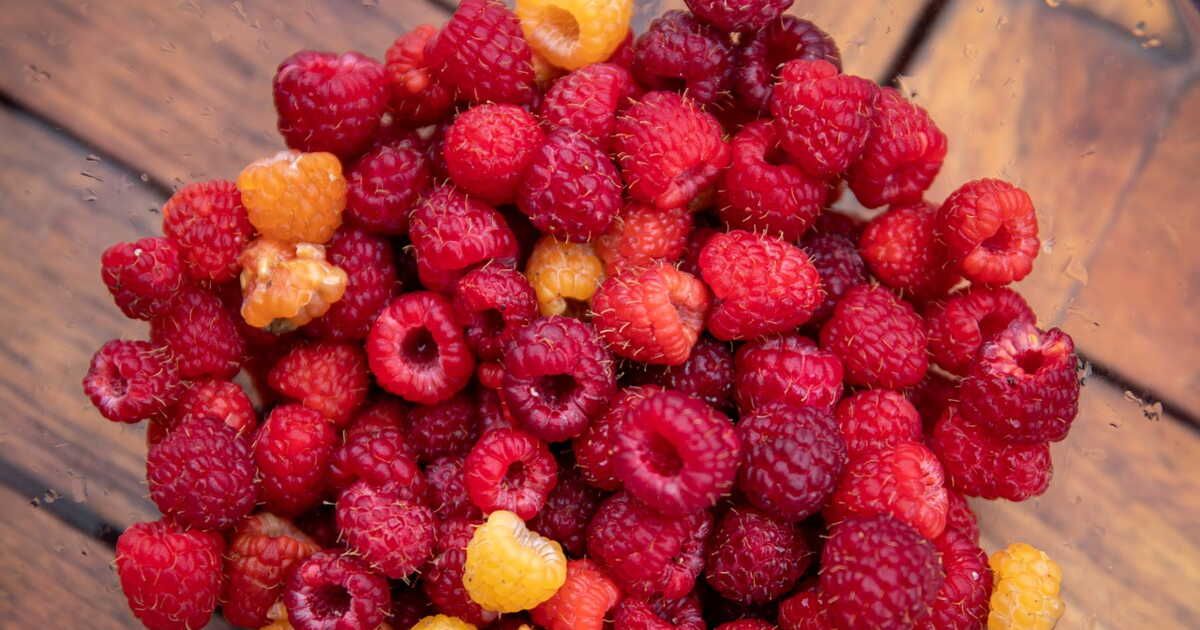 Découvrez la délicieuse tarte aux framboises de Cyril Lignac