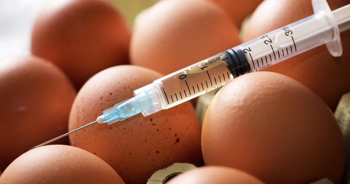 La chimie à l'œuvre : quand les aliments se font beau
