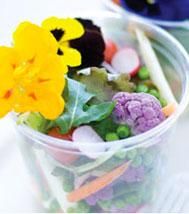 Un voyage culinaire au cœur de la nature avec Cojean