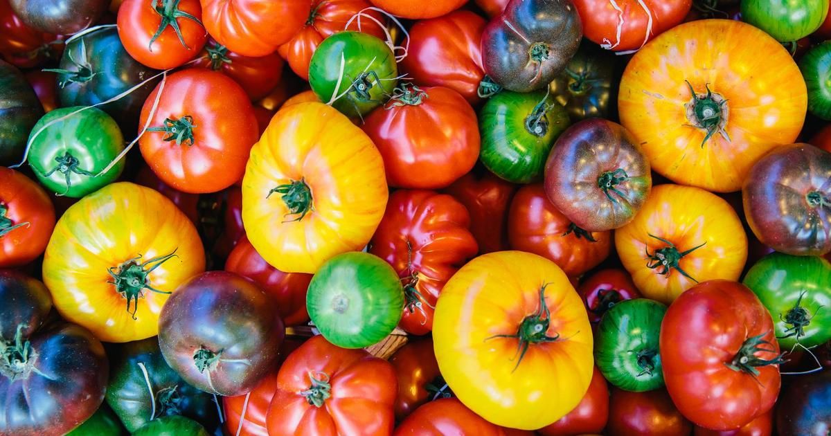 Trouver des tomates pleines de saveur en 2023