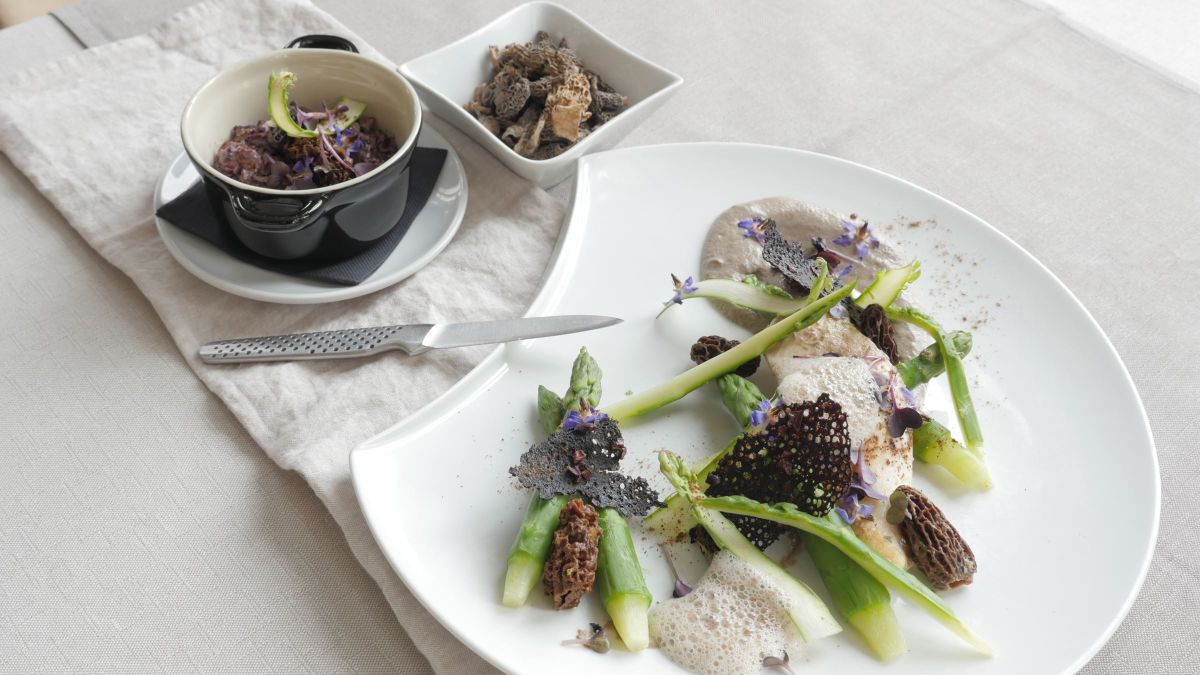 Filet de Saint Pierre, morilles, asperges vertes, tuile au grué de cacao et sauce au vin jaune