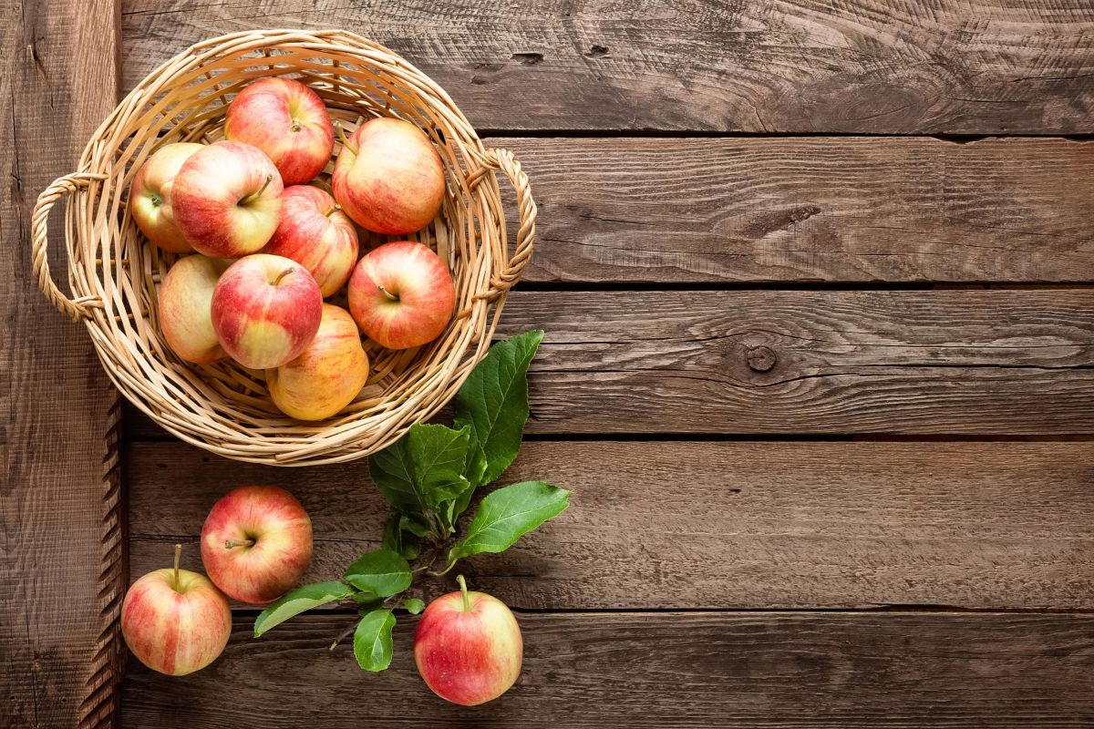 la pomme, un fruit aux vertus insoupçonnées