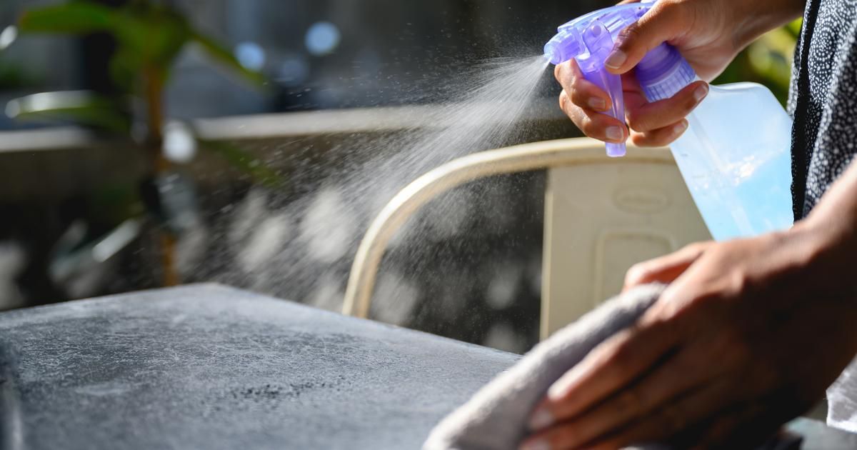 L’astuce naturelle pour un été sans insectes à table