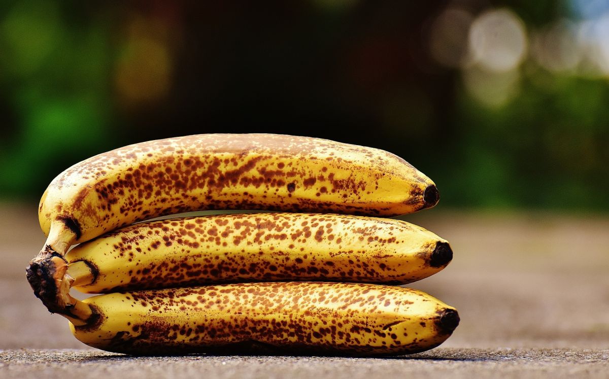 Des bananes mûres : des recettes surprenantes pour les valoriser