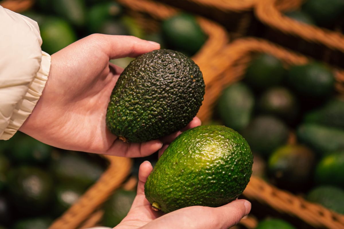 Découvrez l'astuce pour choisir un avocat mûr sans l'ouvrir