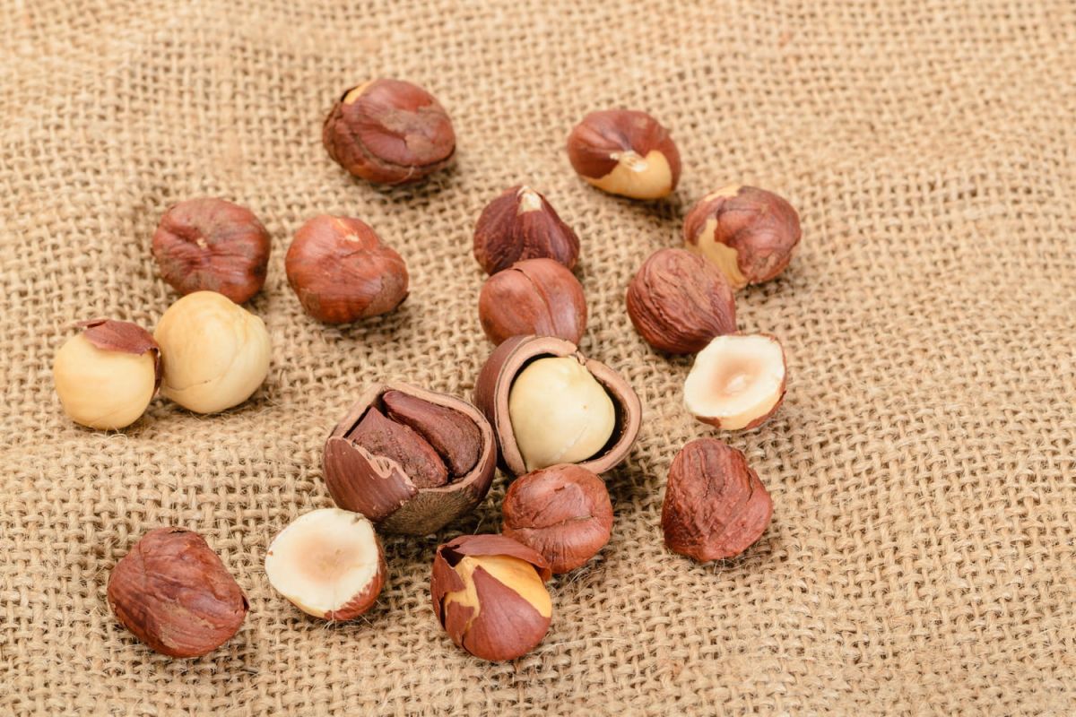 Petits secrets pour éplucher les noisettes sans effort