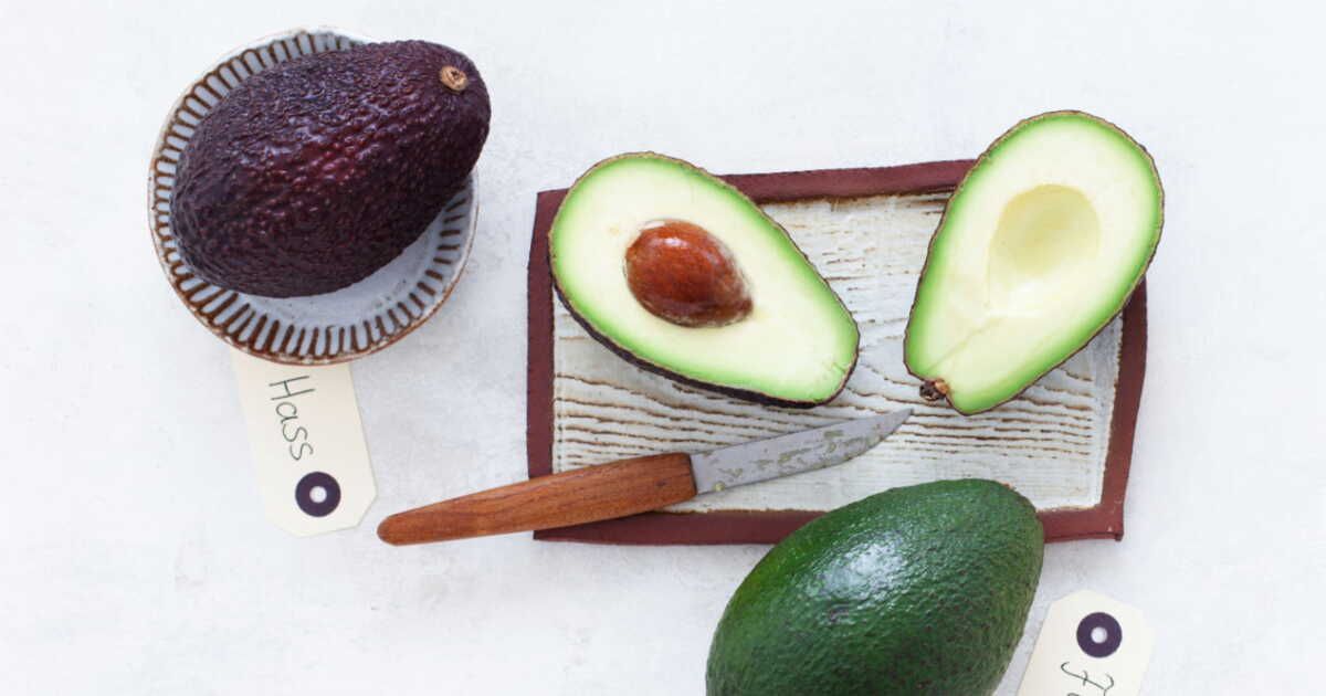 L'avocat à l'honneur : recettes délicieuses à découvrir